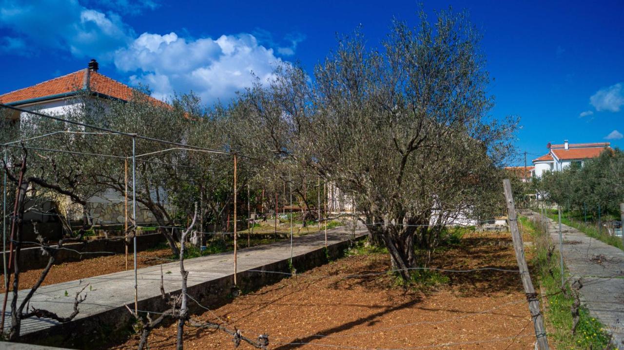 Vecchia Oliva,Kuljica Villa Kukljica Ngoại thất bức ảnh