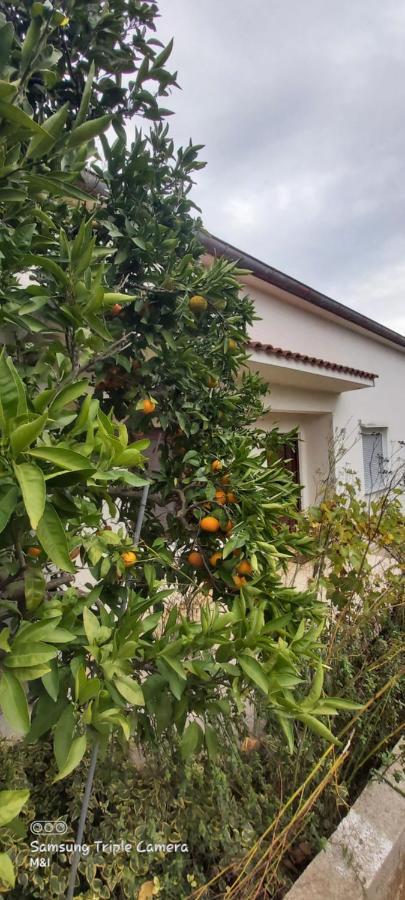 Vecchia Oliva,Kuljica Villa Kukljica Ngoại thất bức ảnh